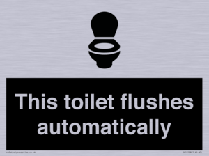 This toilet flushes automatically